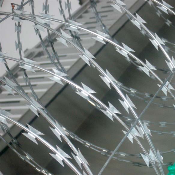 監(jiān)獄刺繩圍墻網(wǎng) 圍墻防爬刺刀網(wǎng)詳細(xì)介紹圖片1 監(jiān)獄刺繩圍墻網(wǎng) 圍墻防爬刺刀網(wǎng)詳細(xì)介紹圖片1