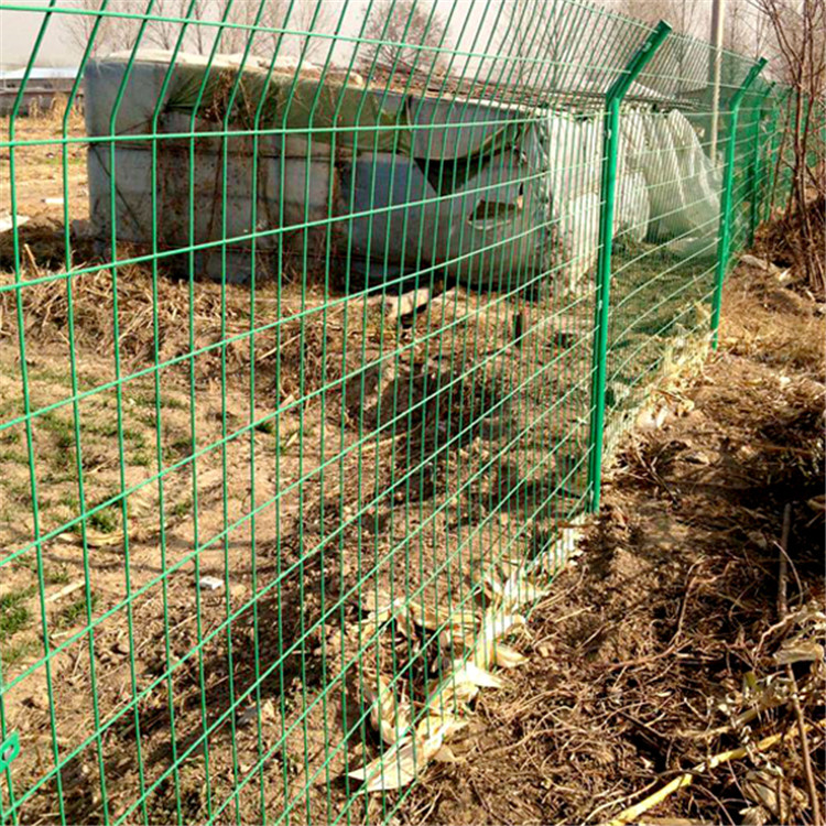 養殖防護網廠家直銷圖片1 養殖防護網廠家直銷圖片1