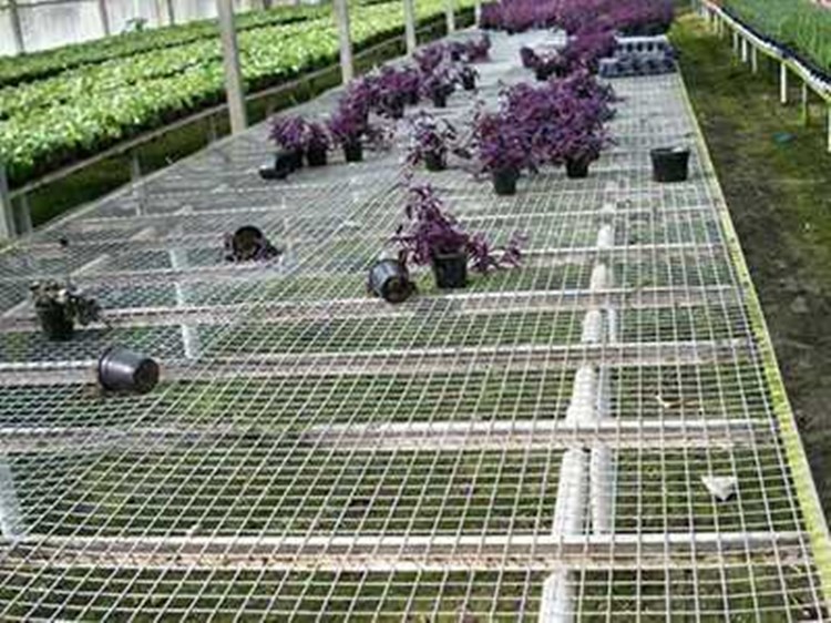 苗床網片圖片1 苗床網片圖片1