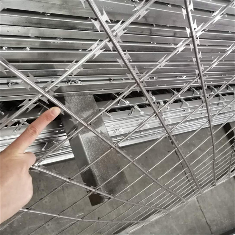 監獄刀片鋼網墻圖片2 監獄刀片鋼網墻圖片2