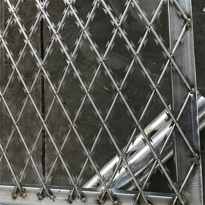 監獄刀片鋼網墻圖片3 監獄刀片鋼網墻圖片3