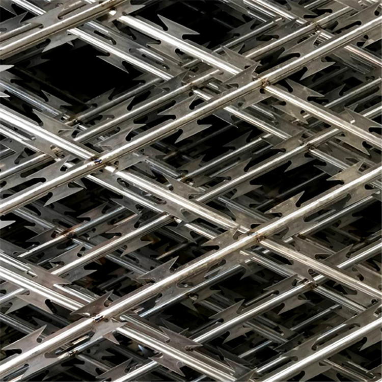 監獄刀片鋼網墻圖片3 監獄刀片鋼網墻圖片3