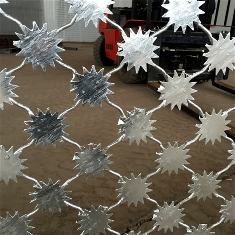 監獄梅花刺圍網