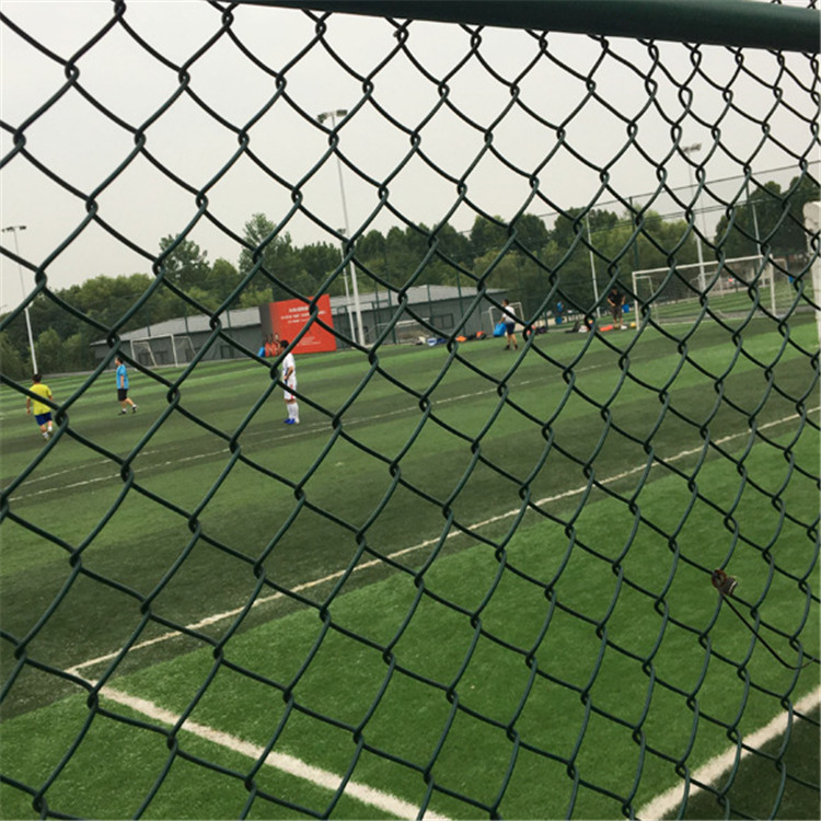 框架式勾花網圖片2 框架式勾花網圖片2