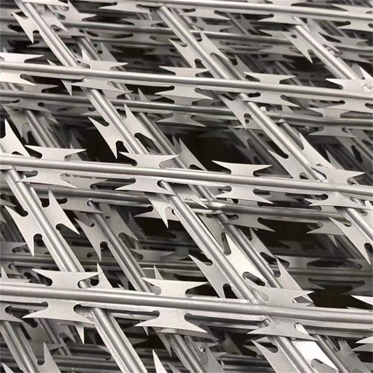 監獄刀片鋼網墻圖片4 監獄刀片鋼網墻圖片4